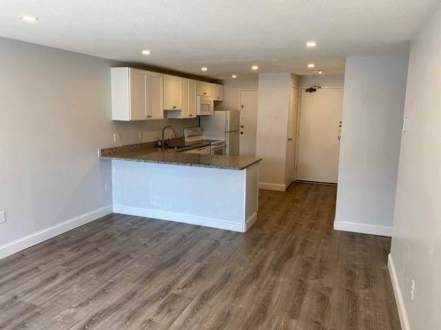 1-bedroom apartment at 1193 Furnace Brook Parkway Apartments in Quincy, MA